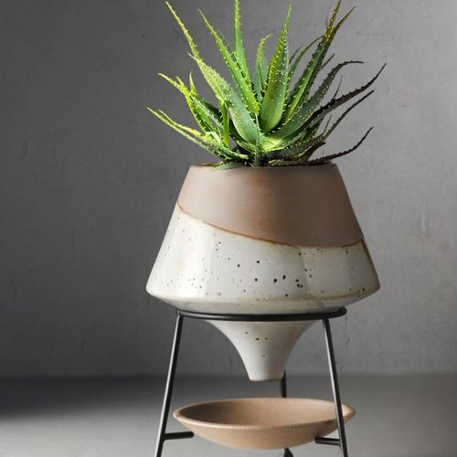 Live in Spring Creative Flower Pot
