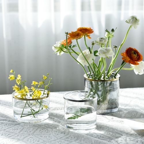 Transparent Hydroponic Terrarium Vase