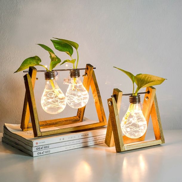 Hydroponic Plant Vases