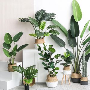 Artificial Green Turtle Leaves