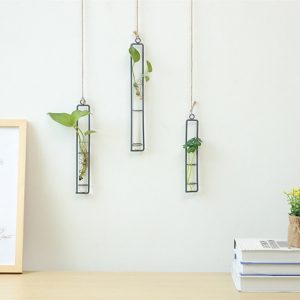 Wall Hanging Terrarium