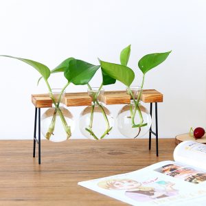 Round Bottomed Terrarium