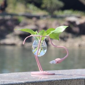 Flamingo Terrarium