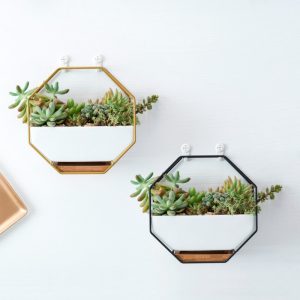 Octagonal Metal Rack With Ceramic Planter