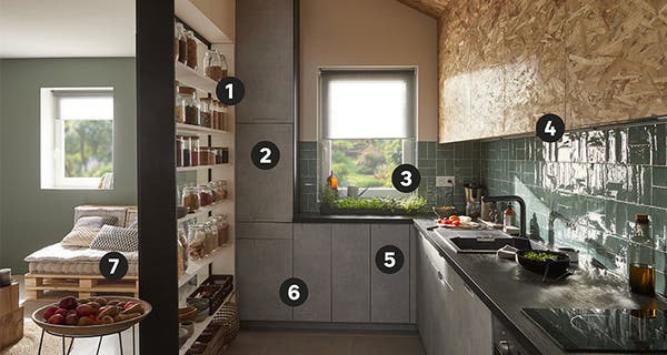 The strong points of ecological cuisine in Kitchen