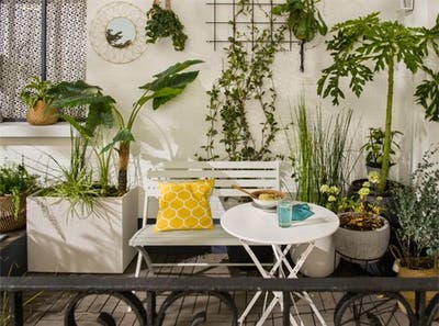 vegetation and gardening