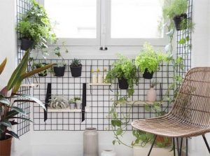 indoor plant wall
