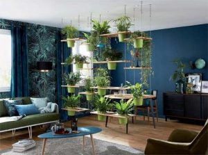 plant separation