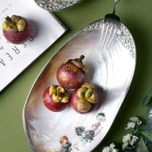 Creative Shell tray