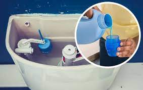 Perfume Your WC
