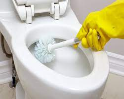 Maintain The Hygiene To Make Toilet cozy